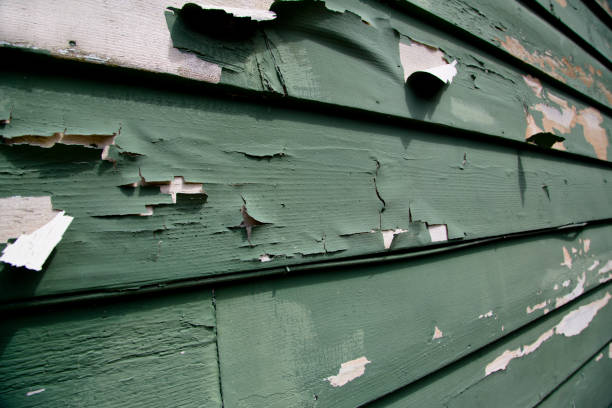 Best Property Management Cleanouts  in Yaphank, NY